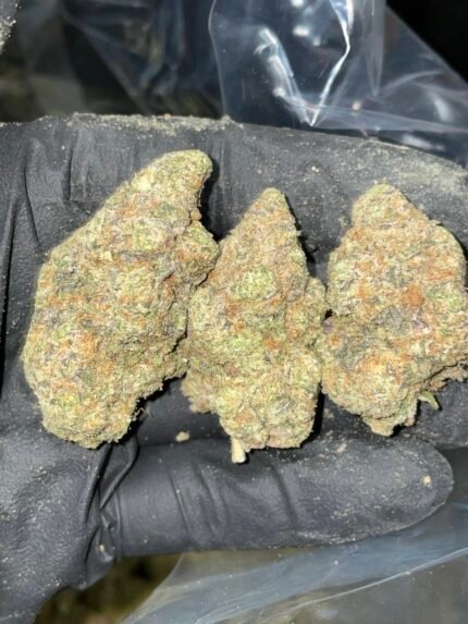 gorilla glue