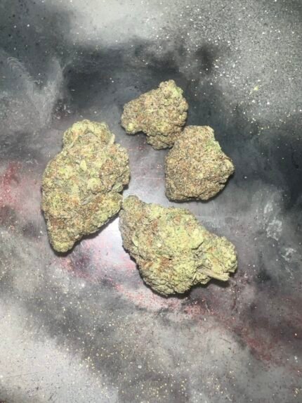 gelato king